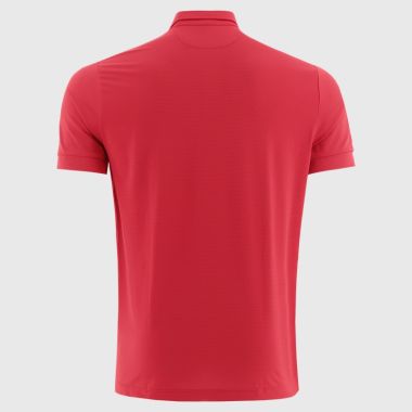 O'Neills Down GAA Men's Surge Polo Shirt Red / Silver