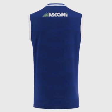 O'Neills Laois GAA Home Vest 2025