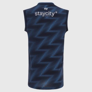O'Neills Dublin GAA Training Vest 2026