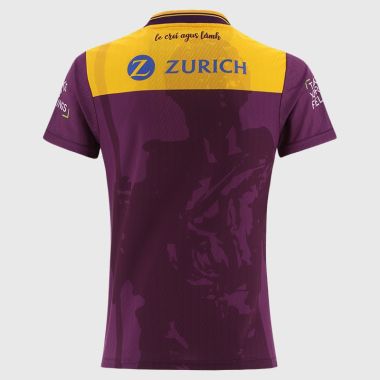 O'Neills Wexford GAA Women's Fit 2 Stripe Home Jersey 2026