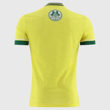 O&#039;Neills Meath GAA Player Fit 2 Stripe Goalkeeper Jersey 2025