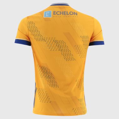 O&#039;Neills Wicklow GAA Player Fit Goalkeeper Jersey 2025