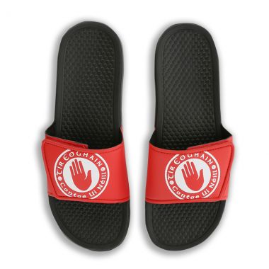 Tyrone GAA Sliders