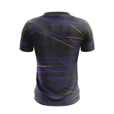 Wexford LGFA Player Fit Short Sleeve Training Top 2 Stripe Dark Grey / Purple 2023
