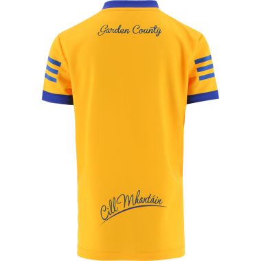 Wicklow GAA Hurling Kids&#039; Alternative Goalkeeper Jersey 2022
