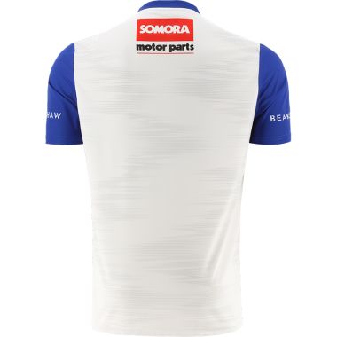 Wicklow GAA Hurling Kids&#039; Goalkeeper Jersey 2023