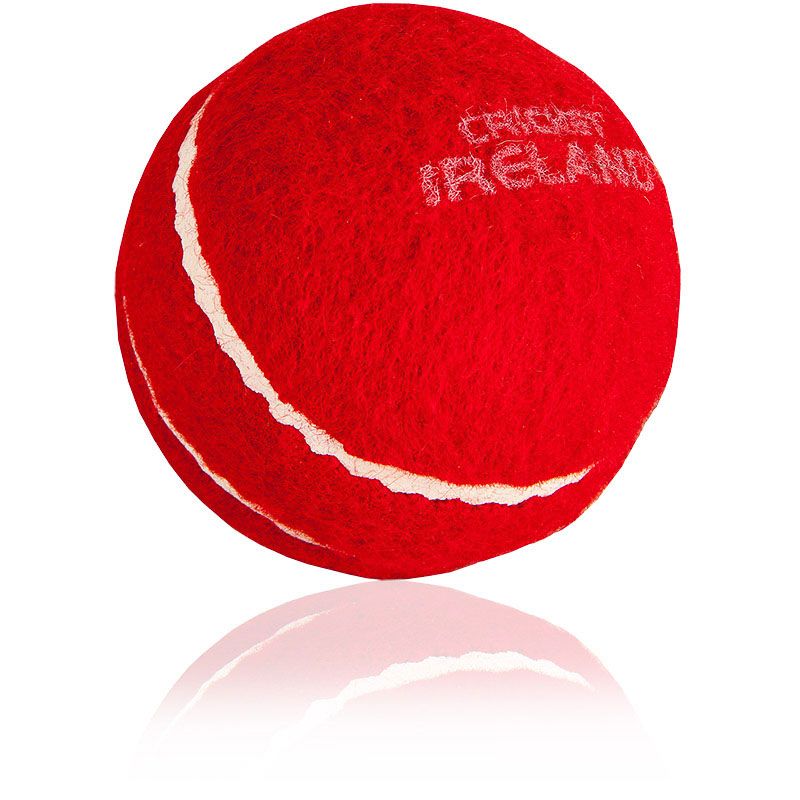 Red Cricket Training Ball from O'Neill's.