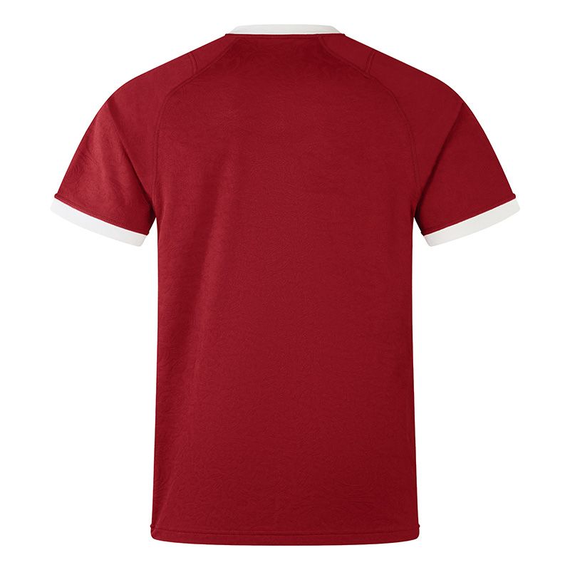 Canterbury British & Irish Lions 24/25 Replica Jersey Red | O'Neills