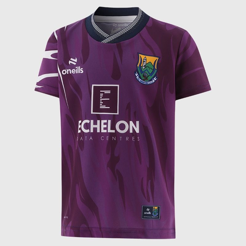Purple Wicklow GAA Kids' Short Sleeve Training Top 2026 from O’Neills.