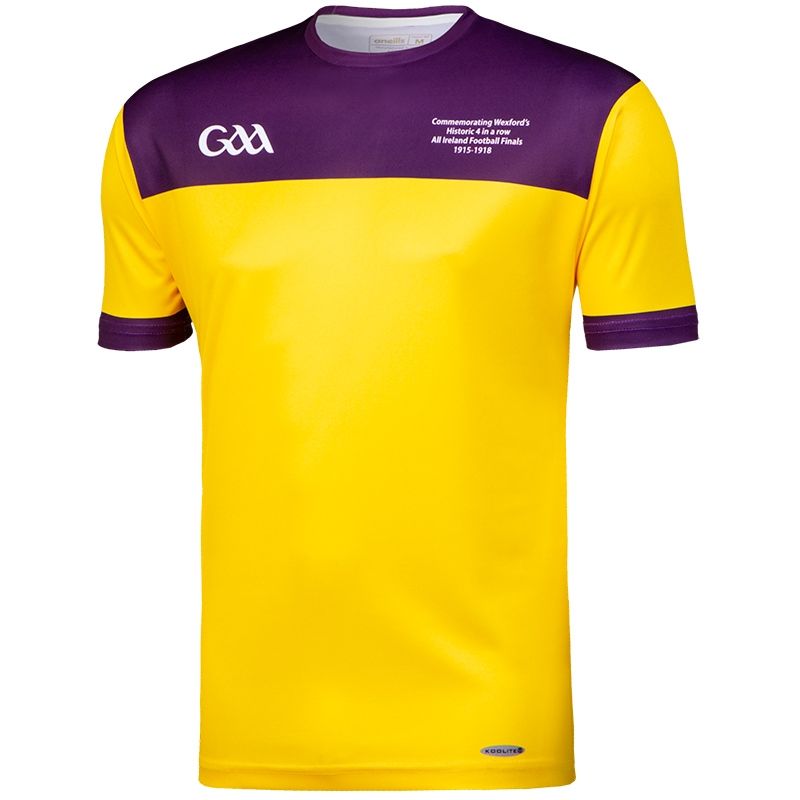 retro offaly jersey