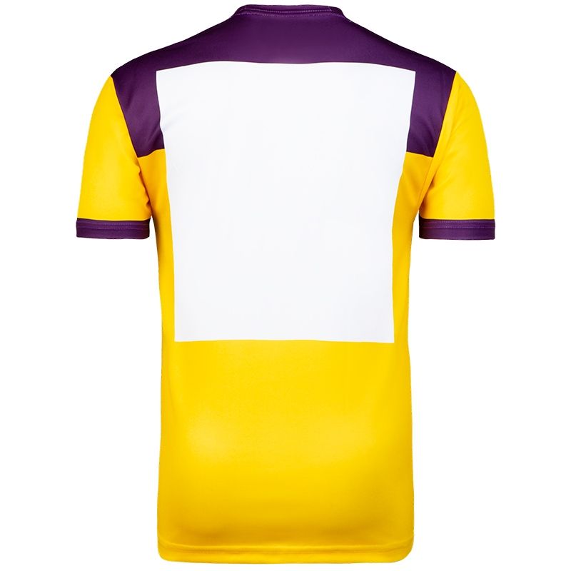 Wexford GAA Player Fit Retro Jersey 