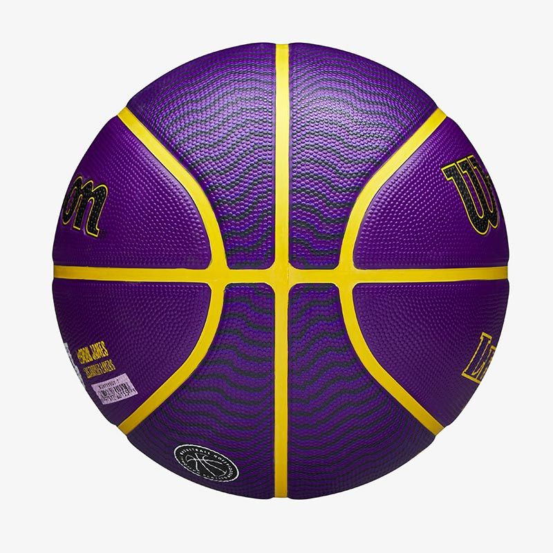 Wilson NBA Player Icon Ouytdoor Basketball - Lebron | O'Neills