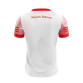 St. Pats Palmerstown Short Sleeve Training Top