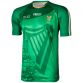 1916 Commemoration Player Fit Jersey