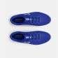 Men's blue and white Under Armour Surge 4 laced running shoes from O'Neills.