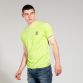 Men's Kingston T-Shirt Small Logo Light Green