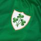 Men's green Ireland Premier player fit jersey with iconic shamrock crest from O'Neills.
