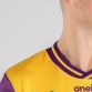 Wexford GAA Player Fit Home Jersey 2024