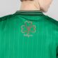 Green / White Kids Fermanagh Hurling Home Jersey with 3 stripe detail on shoulders by O'Neills.