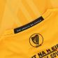 Antrim Player Fit 1916 Remastered Jersey 