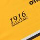 Antrim Player Fit 1916 Remastered Jersey 