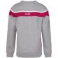 Kids' Auckland Fleece Crew Neck Sweatshirt Sweatshirt Grey / Maroon / White