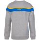 Kids' Auckland Fleece Crew Neck Sweatshirt Grey / Royal / Amber