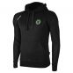 Burgess Hill Town FC Arena Hooded Top