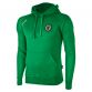 Burgess Hill Town FC Arena Hooded Top