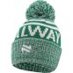Galway Bobble Hat Green / White