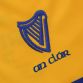 Clare Player Fit 1916 Remastered Jersey 