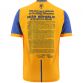 Clare 1916 Remastered Jersey 