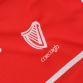 Cork Player Fit 1916 Remastered Jersey 