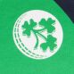 Green Kids' Cricket Ireland KPC Jersey 2017 from O'Neill's.