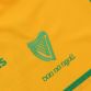 Donegal Player Fit 1916 Remastered Jersey 