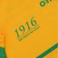 Donegal Player Fit 1916 Remastered Jersey 
