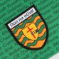 Donegal GAA Women's Fit 2 Stripe Alternative Jersey 2022 Personalised