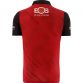 Down GAA Home Jersey 2023 Personalised