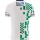 Fermanagh GAA Short Sleeve Training Top White / Green