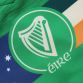Men's global Eire Ireland Australia vest from O'Neills.