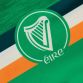 Kids' Eire Irish comfort fit jersey from O'Neills.
