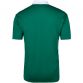 Lansdowne Ireland Men's Shamrock Performance Short Sleeve Rugby Top Green