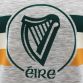Global Éire Player Fit Jersey Grey / Green