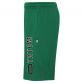 Green men's Boston Celtics shorts with team logo, Tatum and 0 printed on the sides from O'Neills.