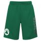Green men's Boston Celtics shorts with team logo, Tatum and 0 printed on the sides from O'Neills.