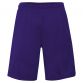 Purple men's LA Lakers shorts with team logo, James and number 6 printed from O'Neills.