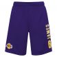 Purple men's LA Lakers shorts with team logo, James and number 6 printed from O'Neills.