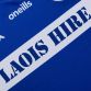 Laois GAA 2 Stripe Home Jersey 2023 Personalised