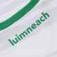 Limerick GAA Player Fit Goalkeeper Jersey 2021/22