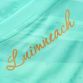 Mint Green/Gold Men's Limerick GAA Goalkeeper Jersey 2023, with ”Luimneach” printed on the upper back by O'Neills.